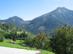 Schirla
