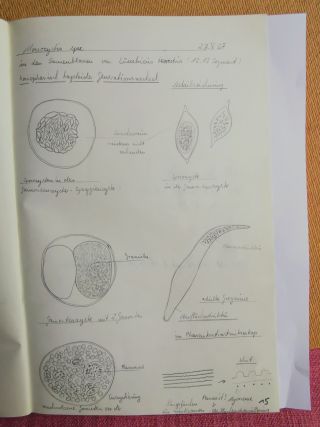 Literatur