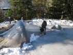 Dezember 2005
