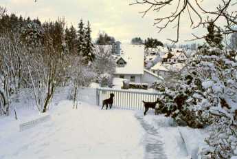 Februar 2005