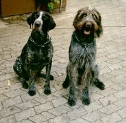 Erko und Teufel Mai 2003