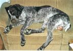 Erko auf der Couch