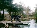 März 2003