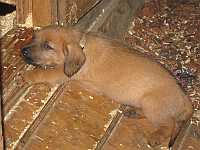 Gerda 16.06.2012