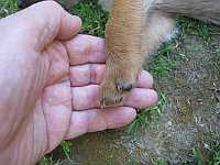 Gerda 16.06.2012