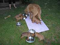 Gerda 16.06.2012