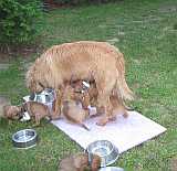 Gerda 16.06.2012