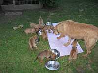Gerda 16.06.2012