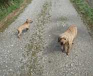 Gerda und Caty