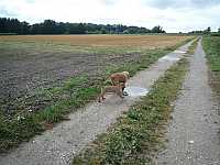 Gerda und Caty