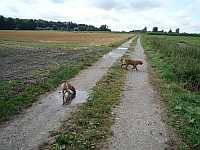 Gerda und Caty