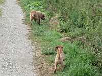 Gerda und Caty
