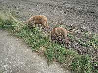 Gerda und Caty