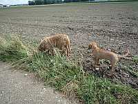 Gerda und Caty