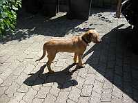 Gerda 07.09.2012
