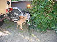 Gerda und Cleo