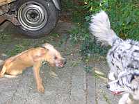 Gerda und Cleo