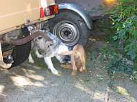 Gerda und Cleo