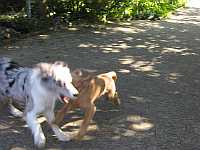 Gerda und Cleo