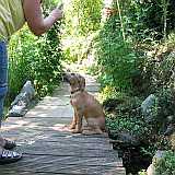 Gerda 14.08.2012