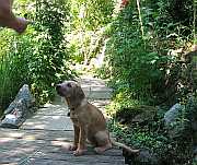 Gerda 14.08.2012