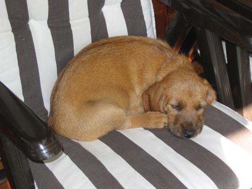 Gerda 19.07.2012