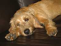 Gerda 16.10.2012