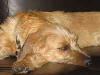 Gerda 16.10.2012