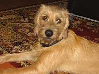 Gerda 16.10.2012