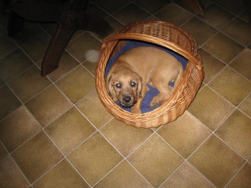 Gerda 17.07.2012