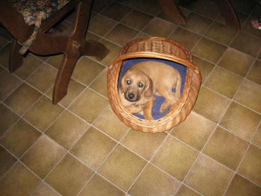 Gerda 17.07.2012