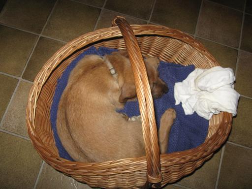 Gerda 17.07.2012