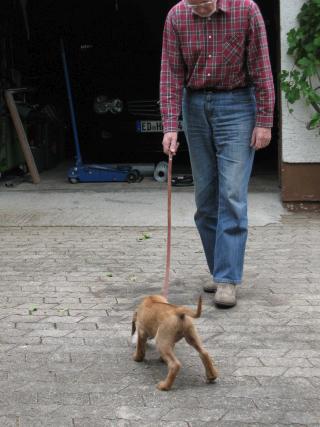 Gerda 17.07.2012