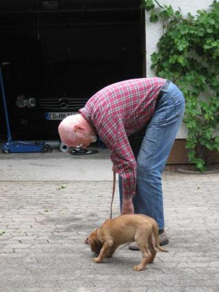 Gerda 17.07.2012