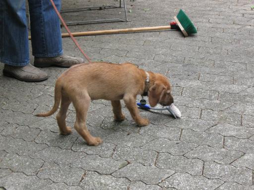 Gerda 17.07.2012