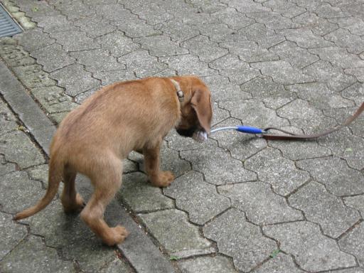 Gerda 17.07.2012