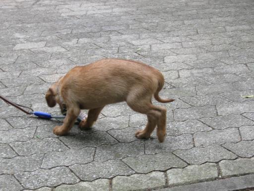 Gerda 17.07.2012