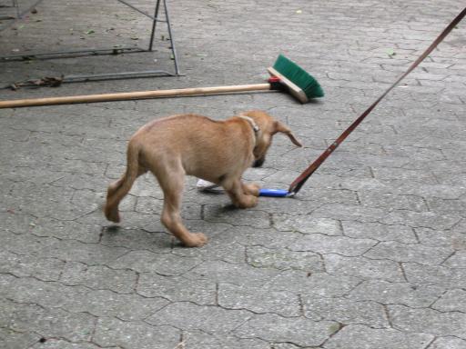 Gerda 17.07.2012