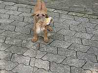 Gerda 19.07.2012