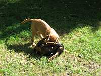 Gerda 19.08.2012