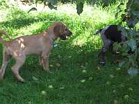 Gerda 19.08.2012