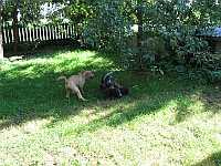 Gerda 19.08.2012
