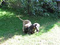 Gerda 19.08.2012