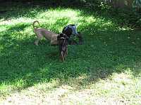 Gerda 19.08.2012
