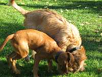 Gerda und Betty 20.10.2012