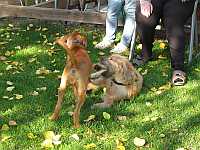 Gerda und Betty 20.10.2012