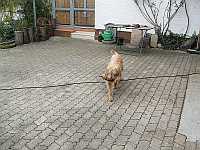Gerda 21.04.2013