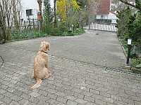 Gerda 21.04.2013