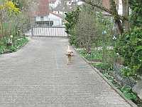 Gerda 21.04.2013