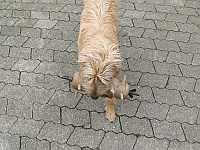 Gerda 21.04.2013